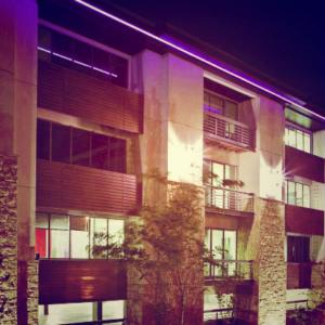 purple lights lighting up hollard head office at night