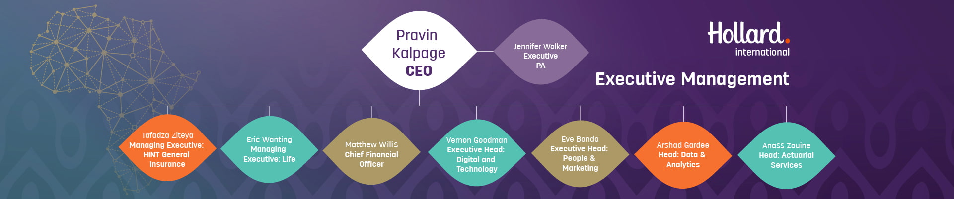 Organogram of Hollard International Executive Management